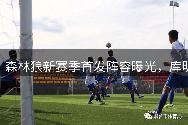 森林狼新赛季首发阵容曝光，库明加正式签约